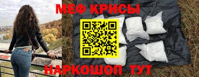 индика Камышлов