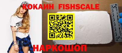 индика Камышлов