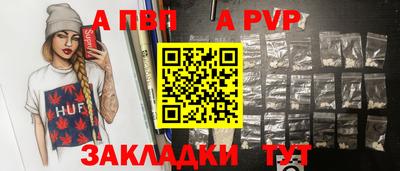 индика Камышлов