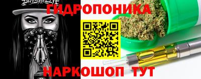 индика Камышлов