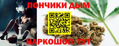 индика Камышлов