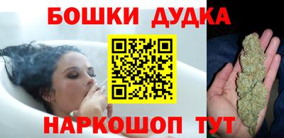 индика Камышлов