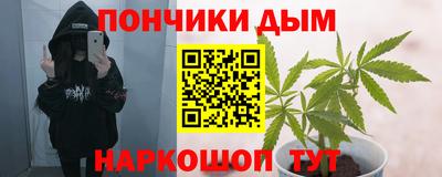 индика Камышлов