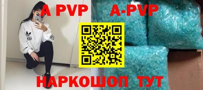 индика Камышлов