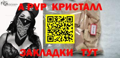 индика Камышлов